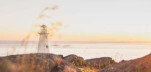 Leadership Transition